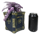 Purple Dragon Guarding LED Medieval Castle On Rocks With Book of Spells Figurine