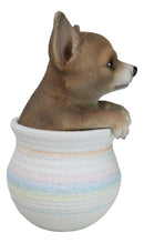 Pet Taco Chihuahua Teacup Puppy Dog Figurine With Glass Eyes Pup In Pot