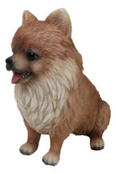 Lifelike Adorable Pet Pal Sitting Pomeranian Spitz Puppy Dog Figurine 6"H