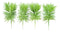 Pack Of 6 Realistic Lifelike Artificial Green Pine Stem Filler Botanicas 10"H