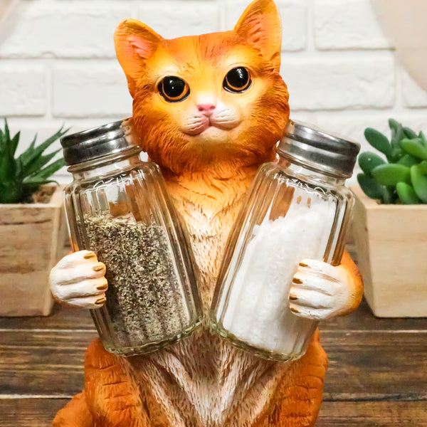Ebros Orange Tabby Kitty Cat Hugging Spice Salt Pepper Shakers