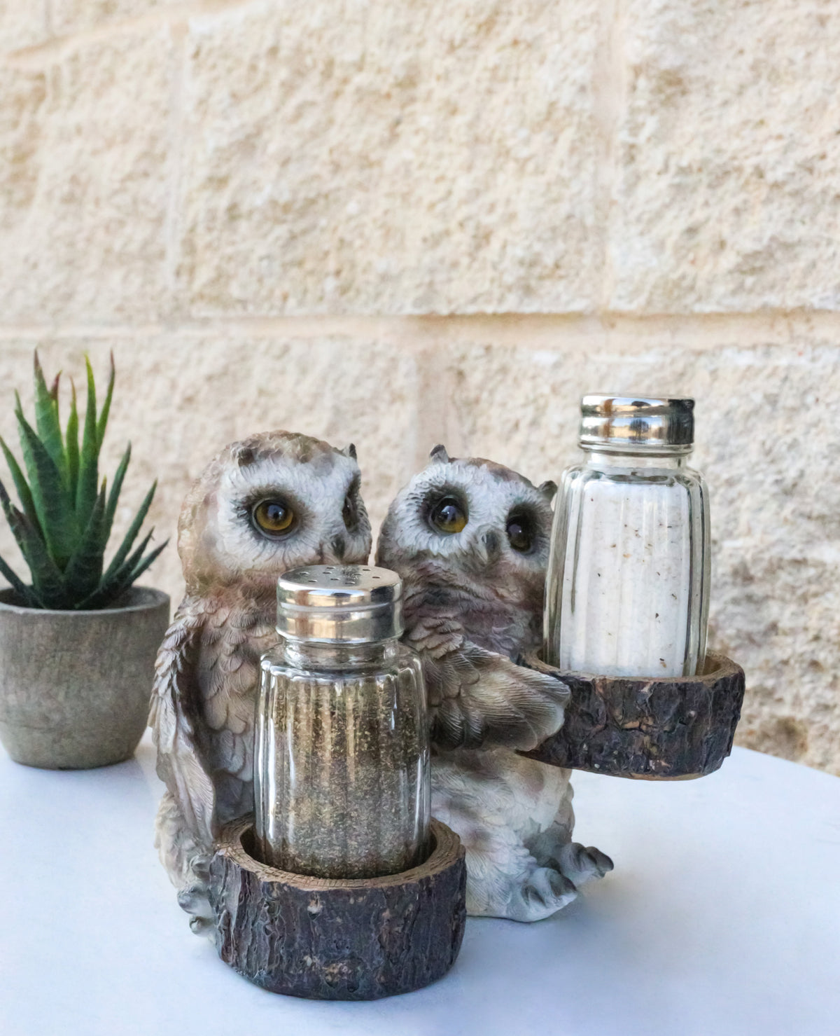 Owl Lovers Couple Salt and Pepper Shaker Holder with Glass Shakers Figurine