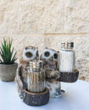 Owl Lovers Couple Salt and Pepper Shaker Holder with Glass Shakers Figurine