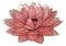 Fuchsia Pink Capiz Seashells Lotus Flower Votive Tea Light Candle Holder 8.5"D