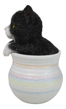 Lifelike Black And White Tuxedo Cat In Pastel Artsy Pot With Glass Eyes Figurine