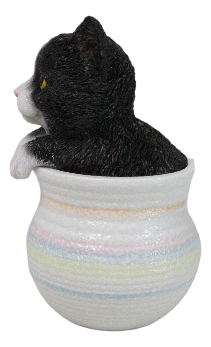 Lifelike Black And White Tuxedo Cat In Pastel Artsy Pot With Glass Eyes Figurine