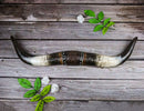 Rustic Faux Texas Longhorn Steer Cow Horns Wall Decor Plaque Figurine 22" Wide