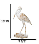 Nautical Marine Scarlet Ibis Distressed Faux Wood Finish Sculpture Decor 16"H