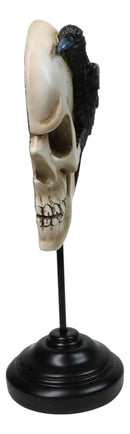Poe's Raven Nevermore Skull Masque Ornament On Pole Stand Or Wall Sculpture