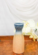 Pack Of 6 Porcelain Blue And Sand Ao Nagashi Japanese Wine Sake Tokkuri Flasks