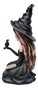 Gothic Pretty Enchantress Witch Holding Spell Book And Black Raven Crow Figurine