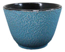 Pack Of 4 Sky Blue Traditional Cast Iron Tetsubin Textured Surface Tea Cups 3oz