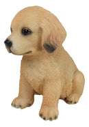 Realistic Sitting Adorable Labrador Puppy Figurine 5.75"H Pet Pal Collectible