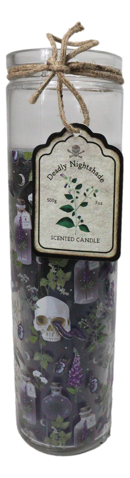 Pack of 2 Skulls and Poisonous Plants Scented Tube Candles in Glass Jars 8"H