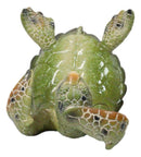 Nautical Marine Playful Green Shelled Sea Turtle On Back Flip Cell Phone Holder