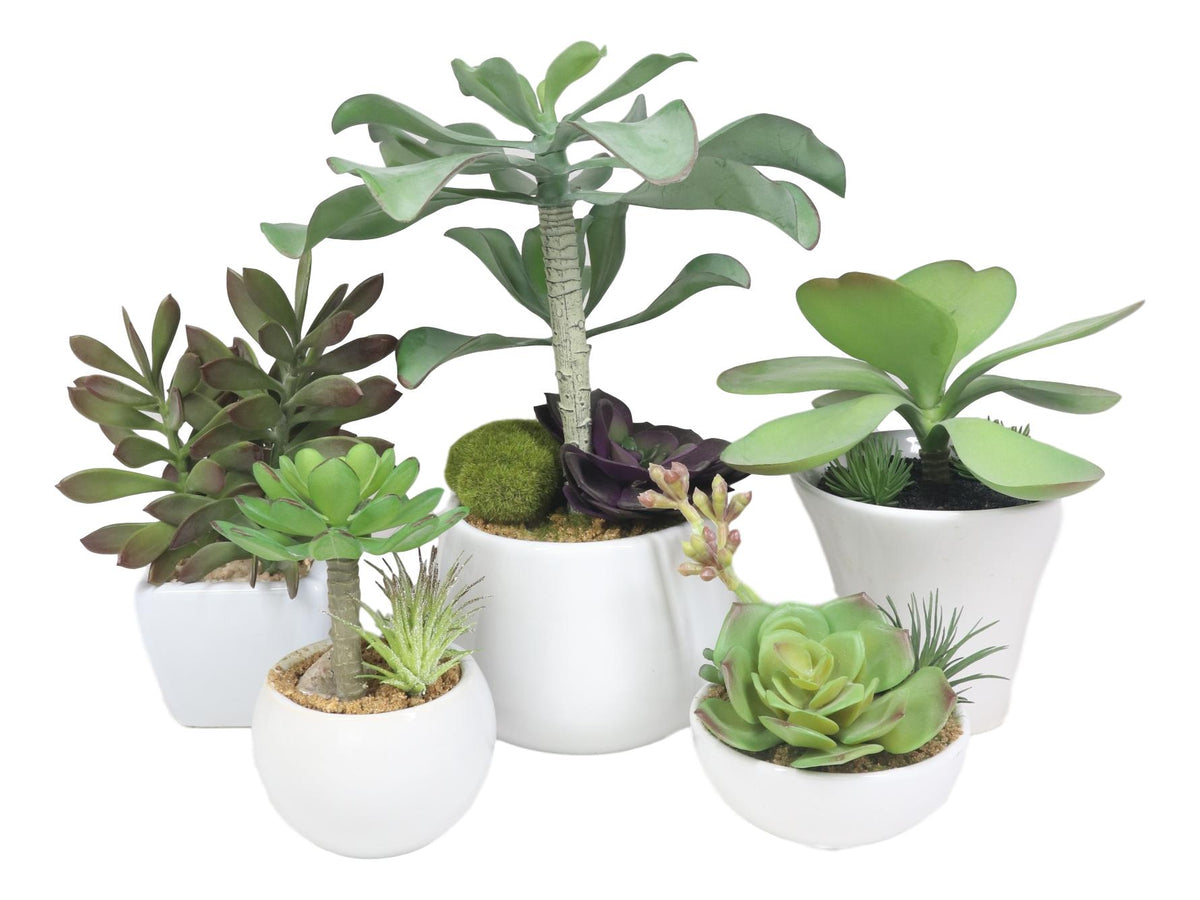 Set Of 5 Realistic Artificial Faux Botanica Succulents In Ceramic Mini Pots