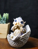 Adorable Blue Baby Dragon Hatchling Cracking Out of Egg Shell Figurine 4"H