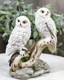 Tundra Forest Snow White Owls Couple Perching On Tree Branch Figurine 4.75"H