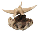 Marine Balinese Hand Carved Coral Reef Manta Ray On Burl Parasite Wood Base 8"L