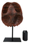 Nautical Marine Faux Alligator Snapping Turtle Shell Sculpture With Pole Stand