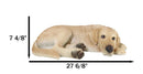 Large Realistic Sleeping Yellow Labrador Retriever Statue 21"H Golden Retriever
