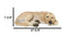 Large Realistic Sleeping Yellow Labrador Retriever Statue 21"H Golden Retriever