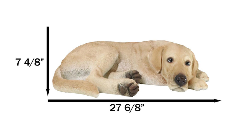 Large Realistic Sleeping Yellow Labrador Retriever Statue 21"H Golden Retriever