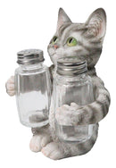 Gray Tabby Cat Salt and Pepper Glass Shakers Holder Set Cute Kitten Figurine