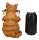 Ebros Orange Tabby Kitty Cat Hugging Spice Salt Pepper Shakers Holder 8.25"H