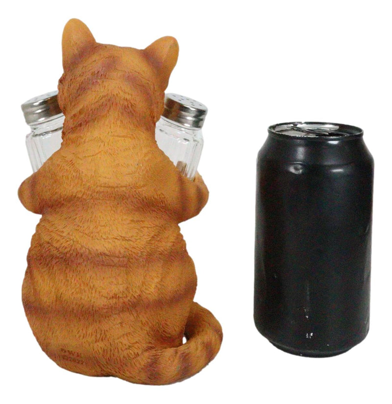 Ebros Orange Tabby Kitty Cat Hugging Spice Salt Pepper Shakers Holder 8.25"H