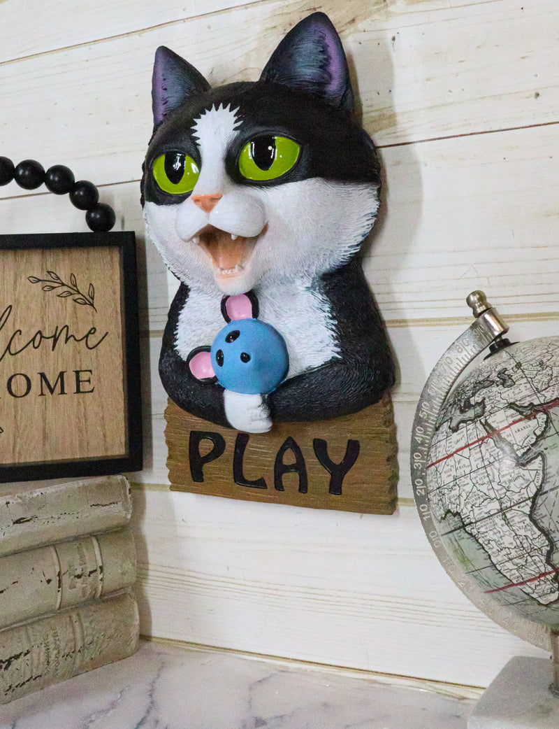 Whimsical Crazy For Cats Feline Kitty Black Cat Play Door Or Wall Hanging Sign