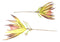 Set of 6 Realistic Artificial Botanica Faux Plants Thistle Fern Grass Leaf Stems