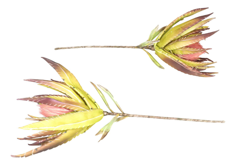 Set of 6 Realistic Artificial Botanica Faux Plants Thistle Fern Grass Leaf Stems