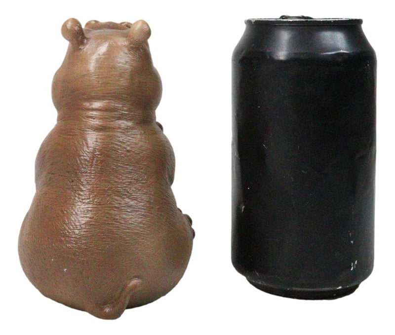Adorable Sub Saharan African River Common Hippopotamus Calf Figurine 4.75"H