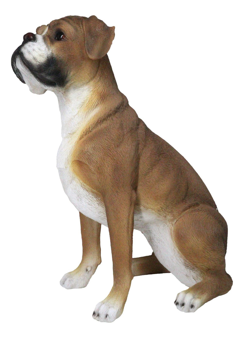 Large 18" Tall Adorable Realistic Sitting Fawn Boxer Dog Statue Home Decor