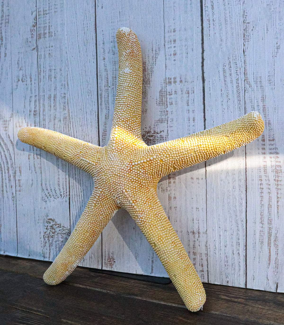 Nautical Marine Ocean Coral Yellow Sea Star Shell Starfish Wall Plaque Sculpture