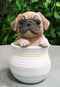 Realistic Puggy Pug Puppy Dog Figurine With Glass Eyes Pup In Pot Collection