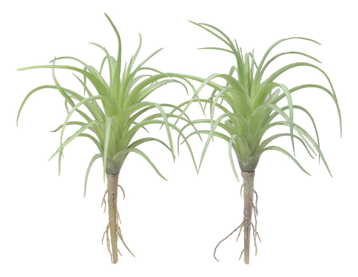 Set of 5 Realistic Artificial Faux Botanica Air Plants Fern Grass Succulents 8"