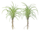 Set of 5 Realistic Artificial Faux Botanica Air Plants Fern Grass Succulents 8"