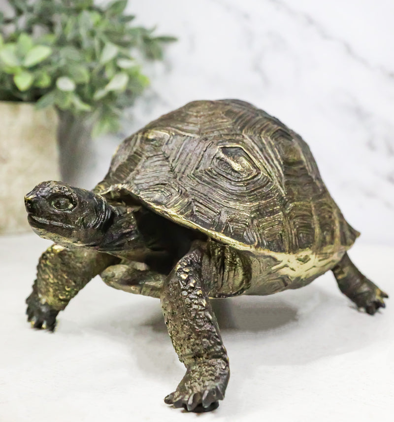 Marine Reptile Lifelike Galapagos Tortoise Taxidermy Replica Figurine 8"L