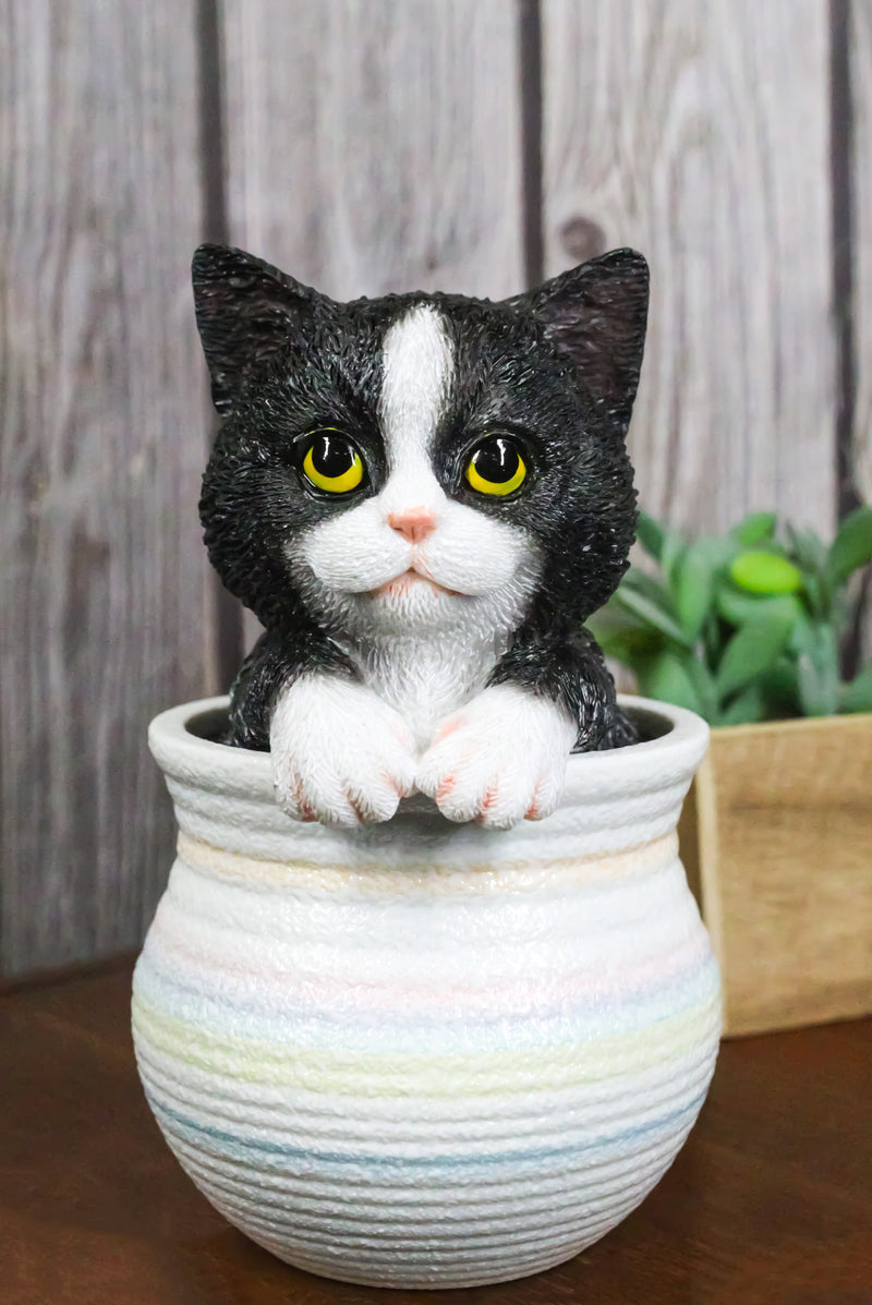 Lifelike Black And White Tuxedo Cat In Pastel Artsy Pot With Glass Eyes Figurine