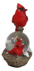 Red Cardinal Bird On Tree Branch Nest With Chicks Water Globe Mini Figurine
