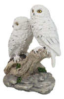 Tundra Forest Snow White Owls Couple Perching On Tree Branch Figurine 4.75"H