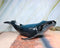 Large Nautical Ocean Marine Baleen Blue Humpback Whale Swimming Figurine 17"L