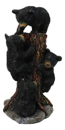 Cabin Companion Tree Climber Black Bear Figurine Cub Bears Forest Tree Wildlife