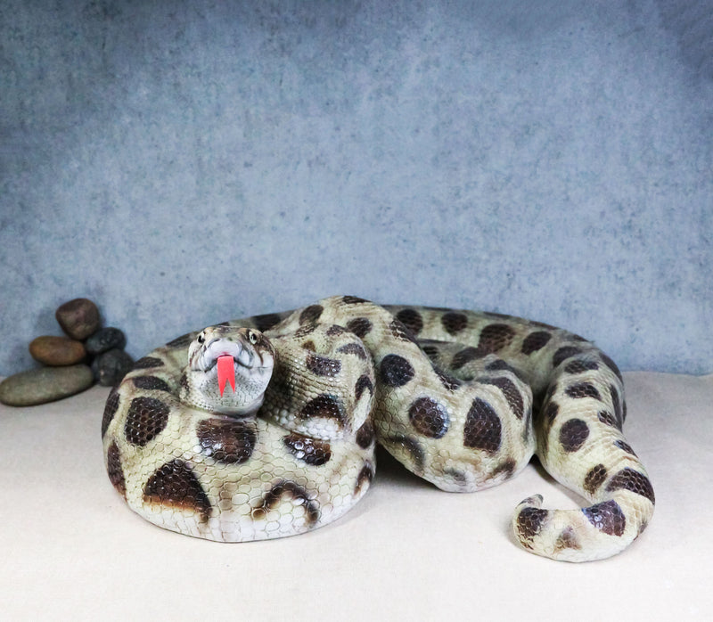 Realistic Ferocious Coiled Boa Snake Hand Painted Taxidermy Statue 17"L