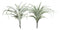 Set Of 4 Realistic Large Artificial Air Plant Succulents Stem Green Botanica 17"