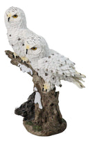 12-Inch Snowy Winter Spotted Owl Couple Figurine on Snow-Covered Tree Branch