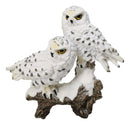 Mystical Tundra Forest Snow White Owls Couple On Tree Branch Figurine 6"H