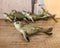 Set Of 6 Nautical Sea Grey Seals Ocean Marine Wall Decor Tree Ornaments